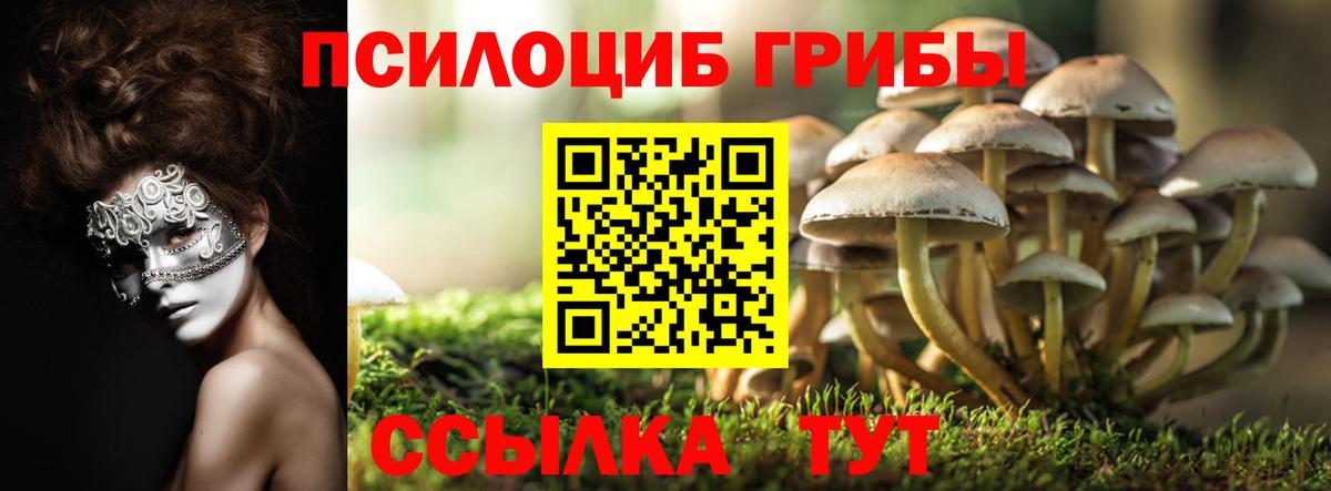 Галлюциногенные грибы MAGIC MUSHROOMS  Галлюциногенные грибы MAGIC MUSHROOMS  Вход с VPN  Солнечногорск 